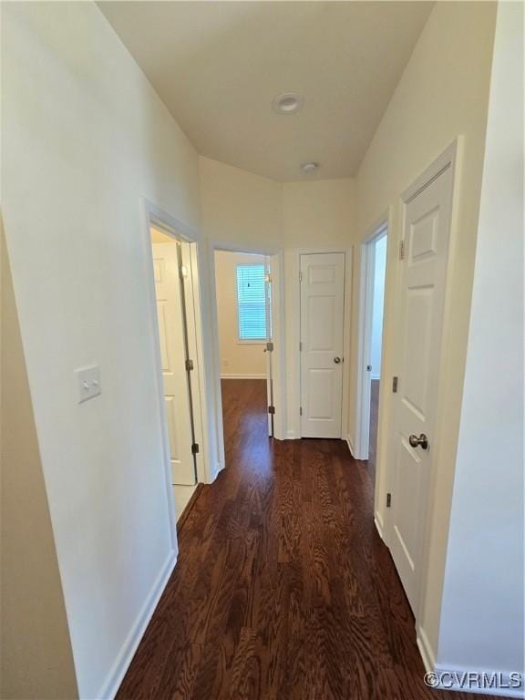 16813 Laurel Park Dr, Moseley, VA 23120 - hall featuring dark wood-type flooring and baseboards
