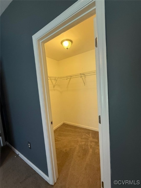 9903 Bethwood Dr, Fredericksburg, VA 22407 - walk in closet with carpet flooring
