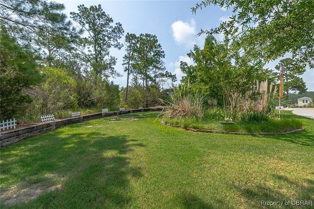 744 Possum Point Rd, Port Haywood, VA 23109 - view of green lawn