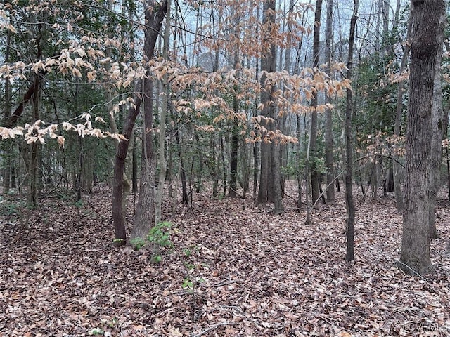TBD Clarke Rd, New Kent, VA 23089 - photo 14
