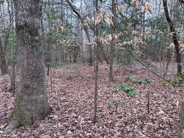 TBD Clarke Rd, New Kent, VA 23089 - photo 15