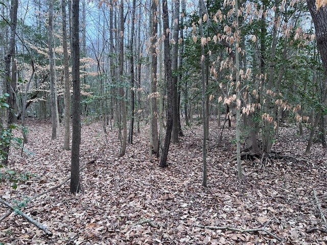 TBD Clarke Rd, New Kent, VA 23089 - photo 16