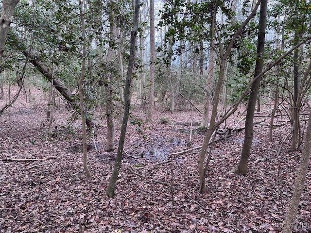 TBD Clarke Rd, New Kent, VA 23089 - photo 17