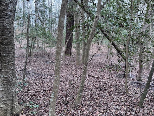 TBD Clarke Rd, New Kent, VA 23089 - photo 18