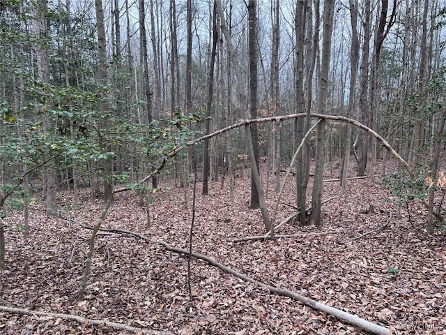TBD Clarke Rd, New Kent, VA 23089 - photo 19