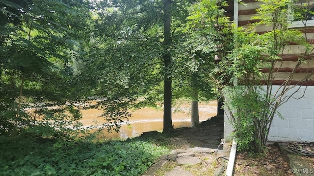 415 Springdale Ave, Colonial Heights, VA 23834 - photo 20