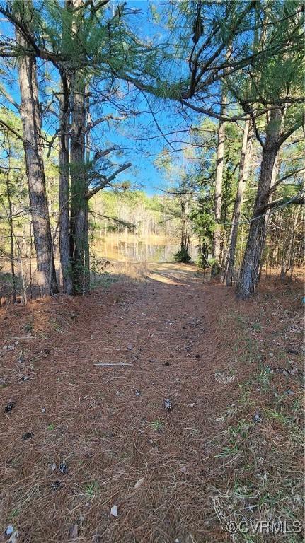 168 Country Ln, South Hill, VA 23970 - photo 35