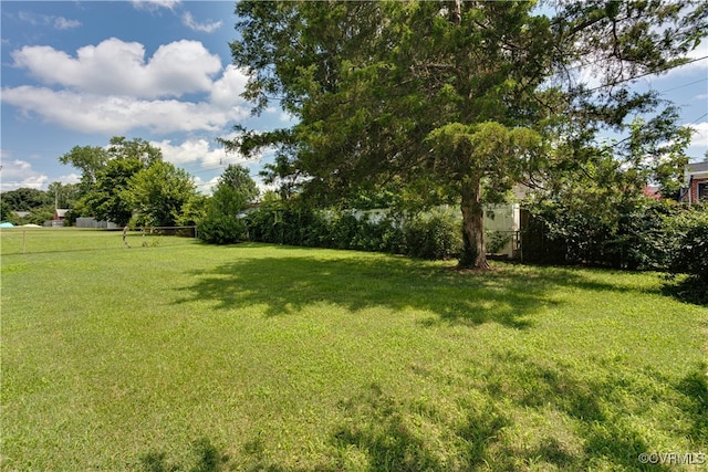 2907 Skipwith Rd, Henrico, VA 23294 - photo 39