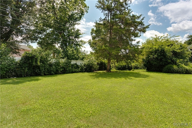 2907 Skipwith Rd, Henrico, VA 23294 - photo 40