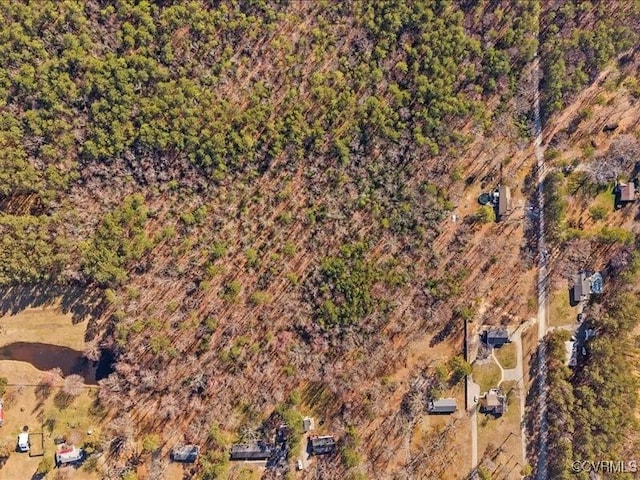 21009 Skinquarter Rd, Moseley, VA 23120 - photo 4