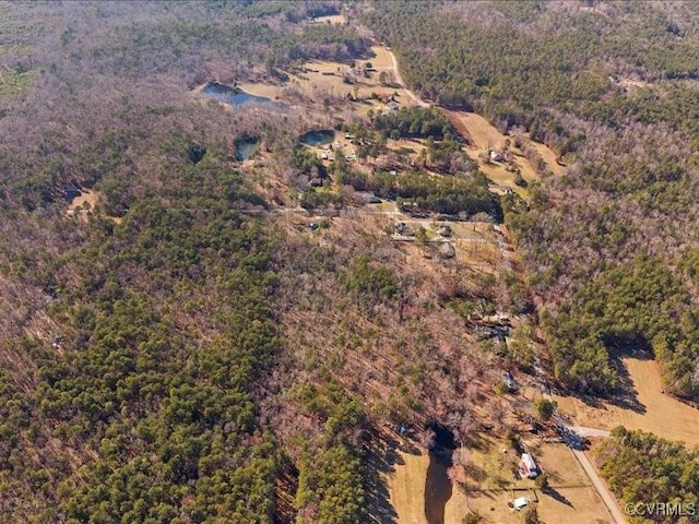 21009 Skinquarter Rd, Moseley, VA 23120 - photo 5
