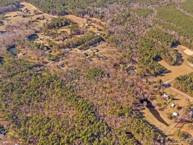 21009 Skinquarter Rd, Moseley, VA 23120 - photo 6