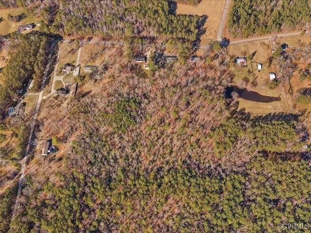 21009 Skinquarter Rd, Moseley, VA 23120 - photo 7
