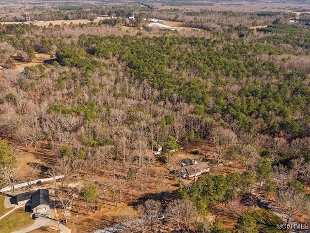 21009 Skinquarter Rd, Moseley, VA 23120 - photo 10