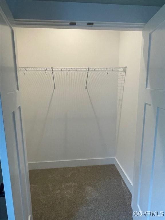 5731 Beechnut Ave, South Chesterfield, VA 23803 - spacious closet with carpet floors