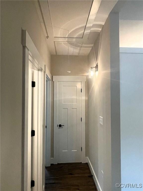 5731 Beechnut Ave, South Chesterfield, VA 23803 - corridor featuring dark wood-style flooring