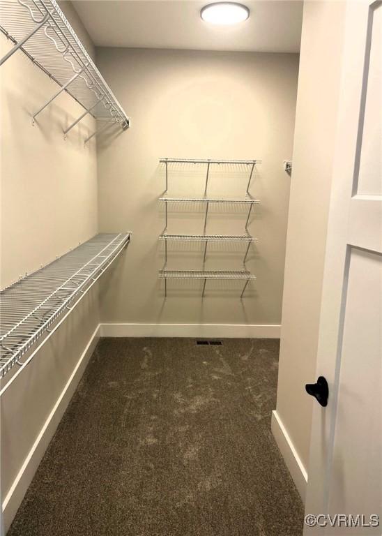 5731 Beechnut Ave, South Chesterfield, VA 23803 - spacious closet with carpet flooring