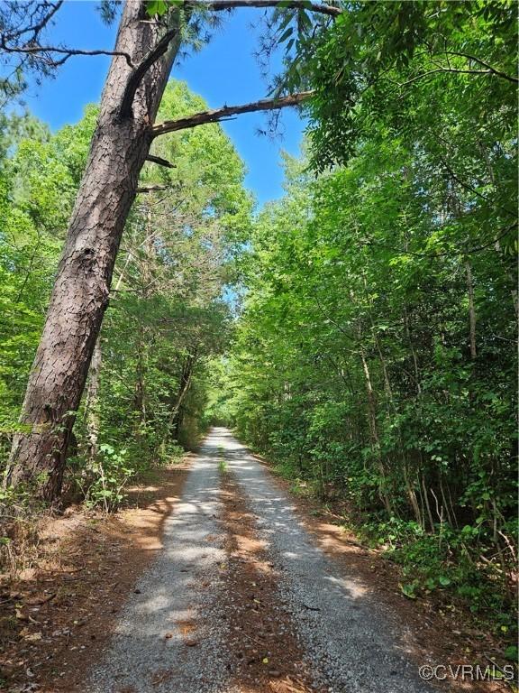 154 King Bee Trl, Lawrenceville, VA 23920 - photo 1