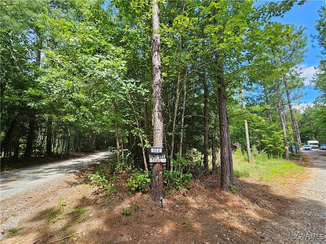 154 King Bee Trl, Lawrenceville, VA 23920 - photo 3