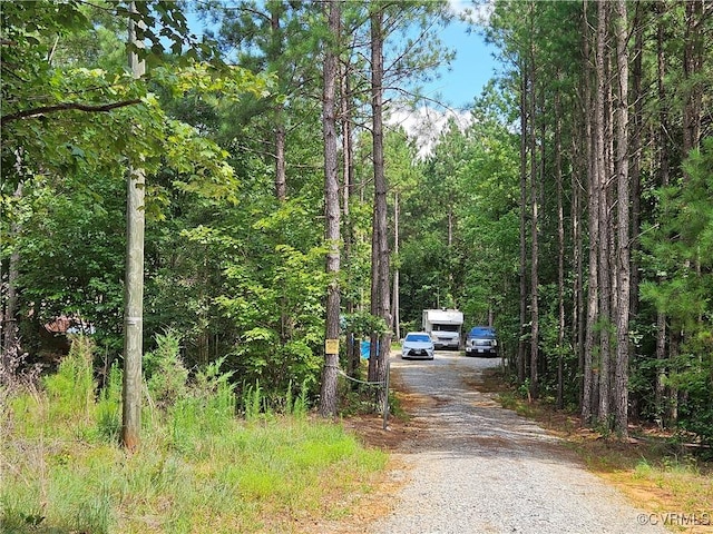 154 King Bee Trl, Lawrenceville, VA 23920 - photo 4