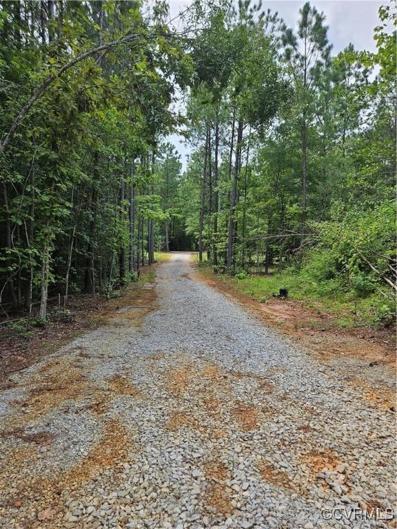 154 King Bee Trl, Lawrenceville, VA 23920 - photo 7