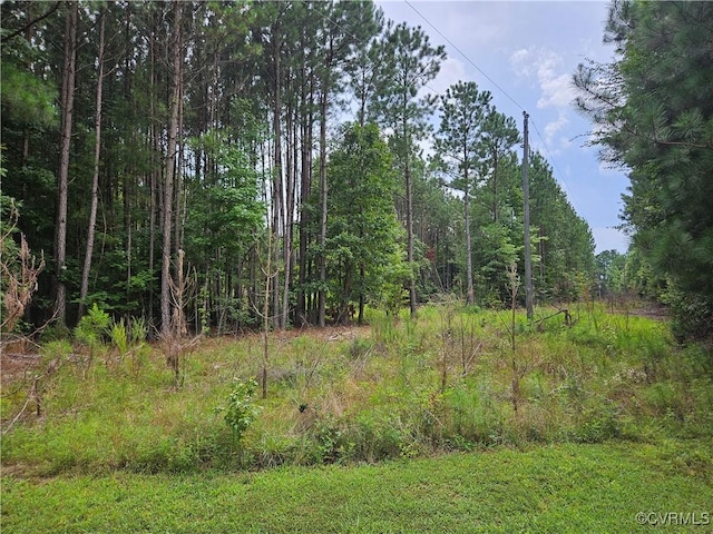 154 King Bee Trl, Lawrenceville, VA 23920 - photo 18