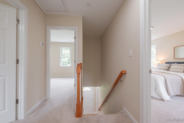 2236 Lakeview Dr, Powhatan, VA 23139 - photo 20