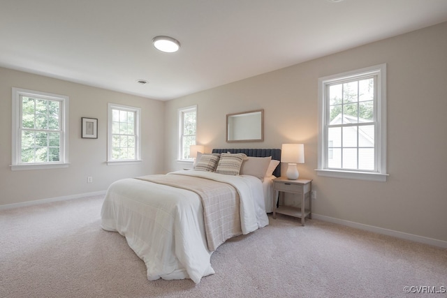 2236 Lakeview Dr, Powhatan, VA 23139 - photo 21