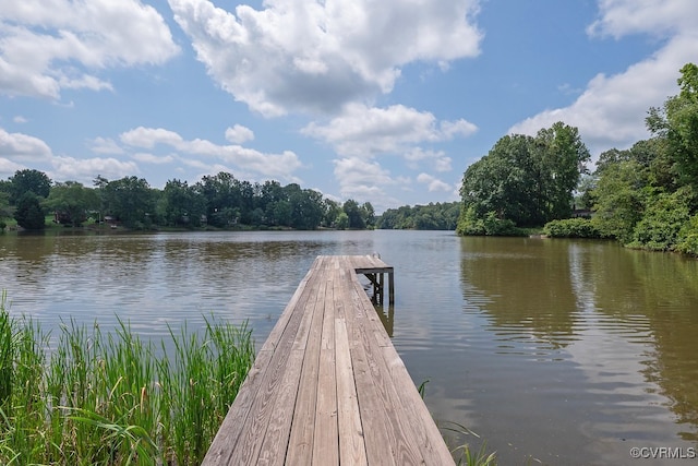 2236 Lakeview Dr, Powhatan, VA 23139 - photo 43