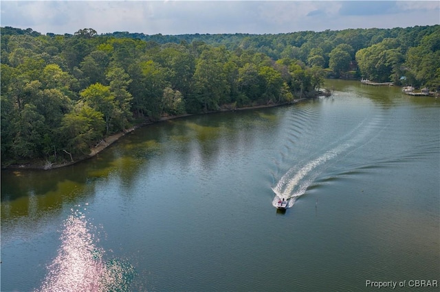 4.6 Bland Point Rd, Deltaville, VA 23043 - photo 4