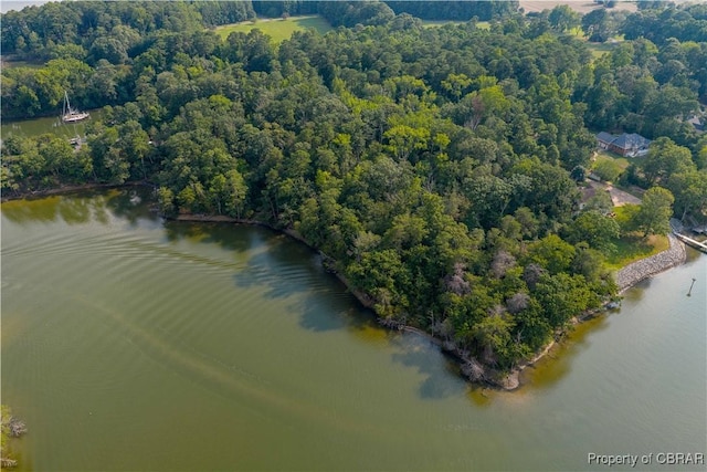 4.6 Bland Point Rd, Deltaville, VA 23043 - photo 8