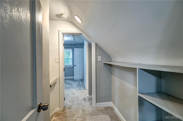 7406 Parkline Dr, Henrico, VA 23226 - photo 24