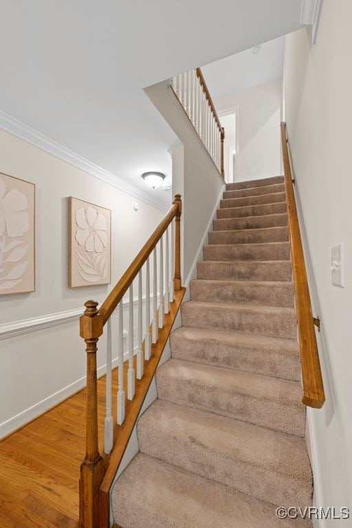 6303 Walnut Bend Dr, Midlothian, VA 23112 - photo 21