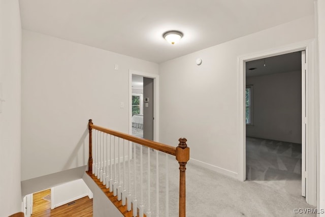 6303 Walnut Bend Dr, Midlothian, VA 23112 - photo 22