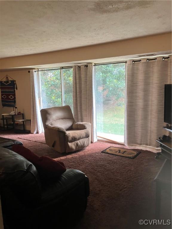 7707 Odonnell Ct Unit 2102, Henrico, VA 23228 - photo 3