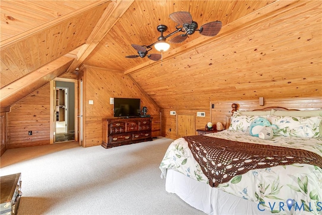 9106 Avocet Ct, Chesterfield, VA 23838 - photo 40
