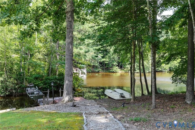 9106 Avocet Ct, Chesterfield, VA 23838 - photo 45