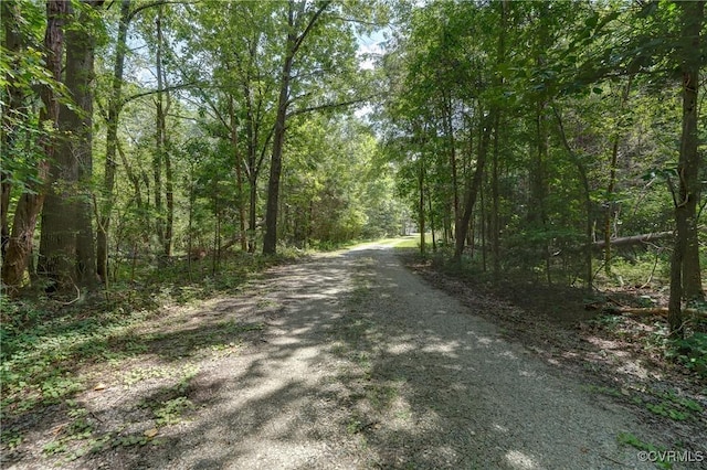 3335 Pleasants Rd, Powhatan, VA 23139 - photo 32