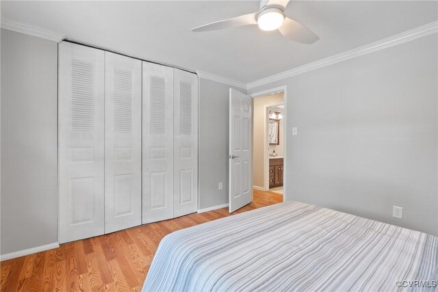 4910 Packard Rd, Glen Allen, VA 23060 - photo 16