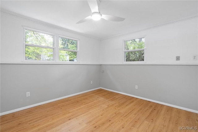 4910 Packard Rd, Glen Allen, VA 23060 - photo 24