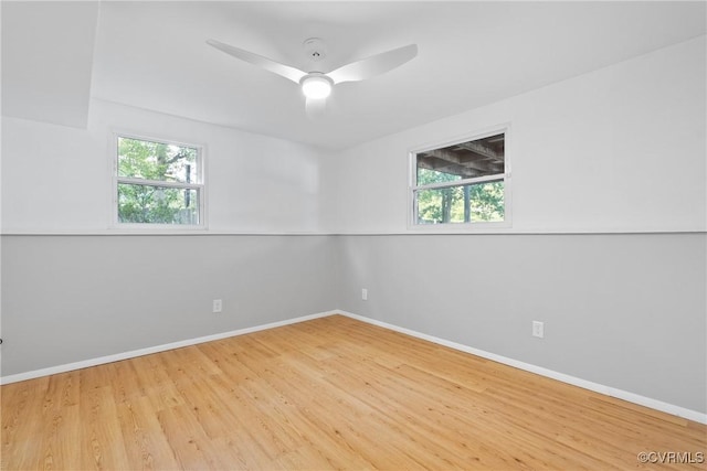 4910 Packard Rd, Glen Allen, VA 23060 - photo 26