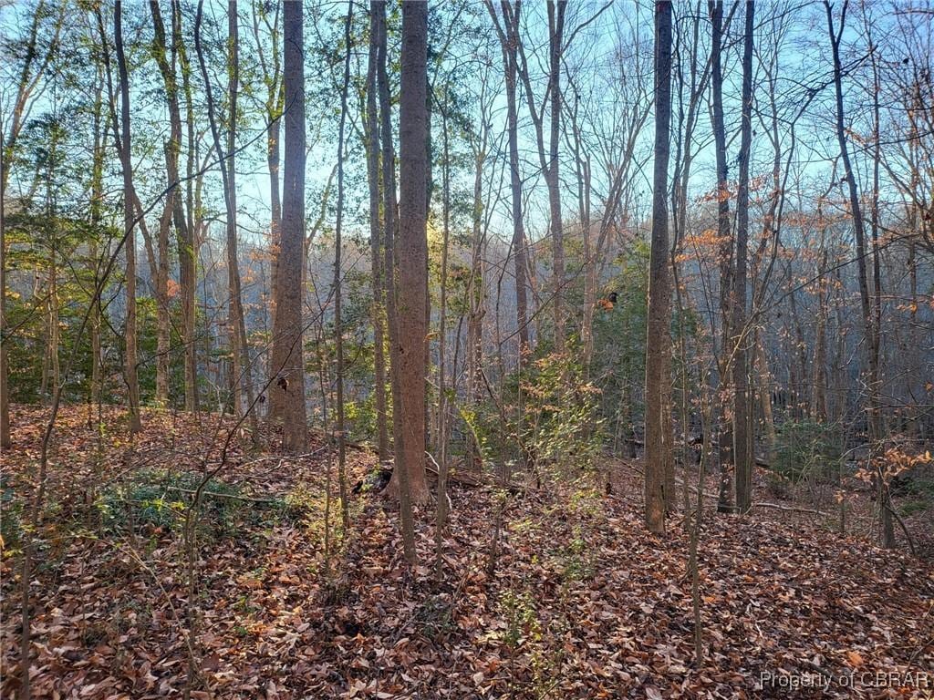 LOT18 Beech Tree Ct, Gloucester, VA 23061 - photo 3