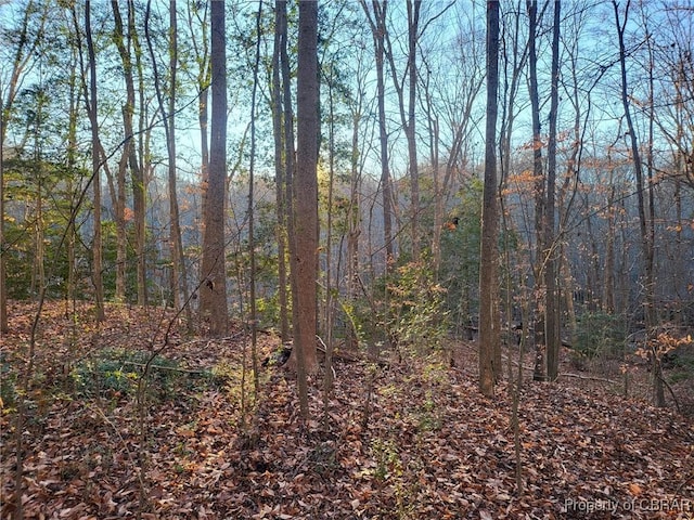 LOT18 Beech Tree Ct, Gloucester, VA 23061 - photo 3
