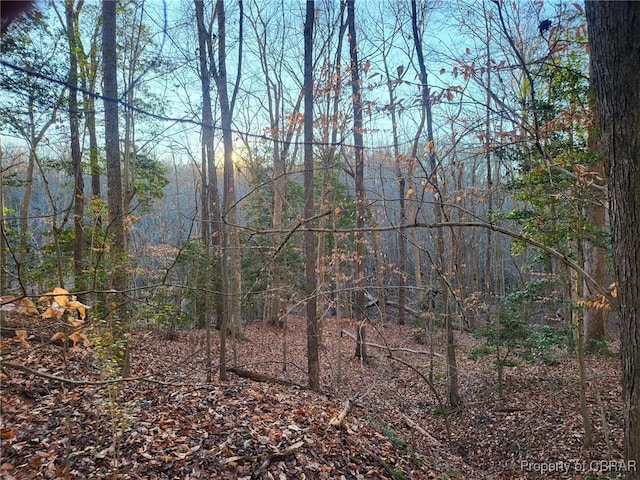 LOT18 Beech Tree Ct, Gloucester, VA 23061 - photo 4