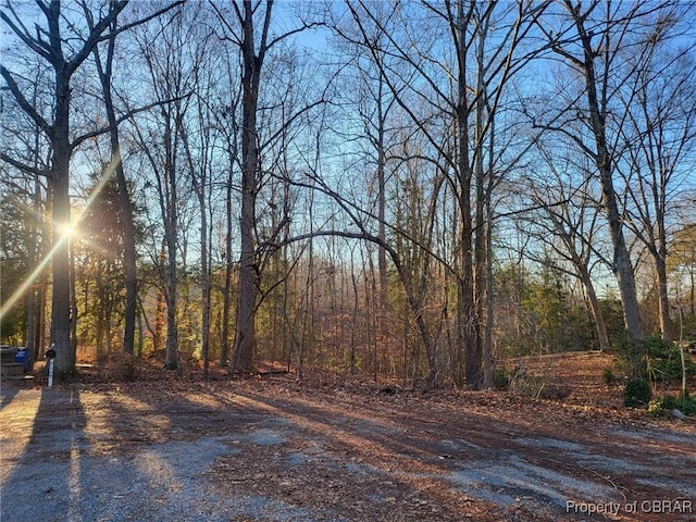 LOT18 Beech Tree Ct, Gloucester, VA 23061 - photo 1