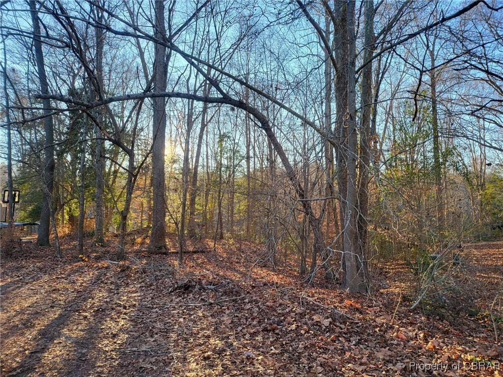 LOT18 Beech Tree Ct, Gloucester, VA 23061 - photo 2