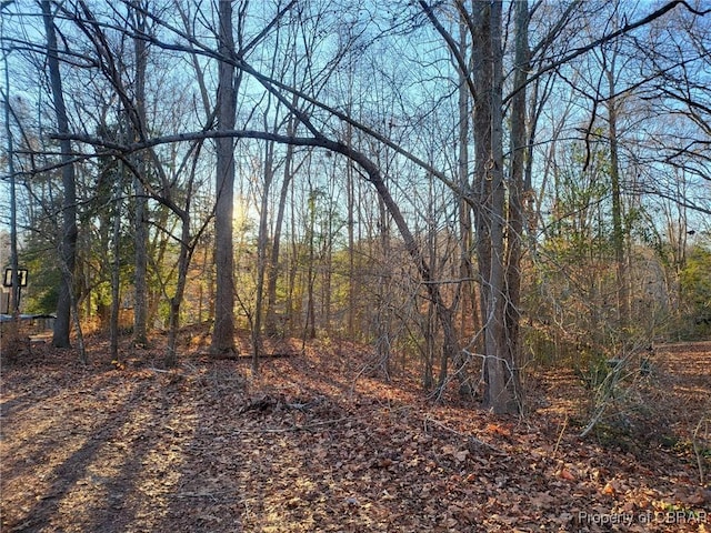 LOT18 Beech Tree Ct, Gloucester, VA 23061 - photo 2