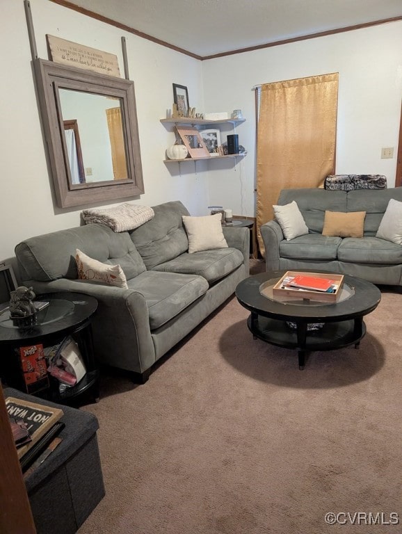 1007 Osborn Rd, Farmville, VA 23901 - photo 4