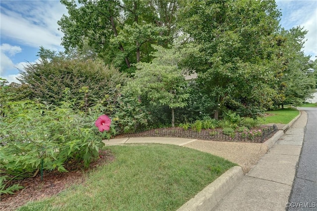 9409 Charter Lake Dr, Mechanicsville, VA 23116 - photo 42