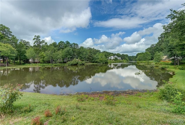 9409 Charter Lake Dr, Mechanicsville, VA 23116 - photo 43